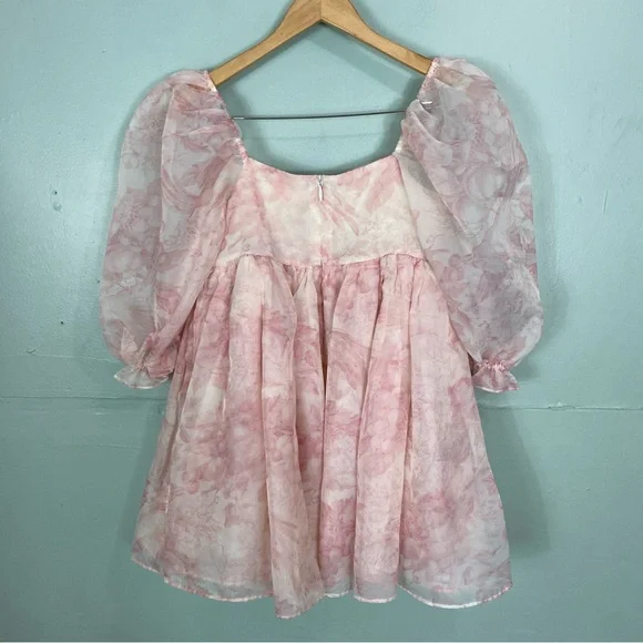 Selkie Puff Sleeve Organza Mini Babydoll Dress Pink Floral 2X - Picture 9 of 11